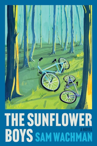 The Sunflower Boys A Novel