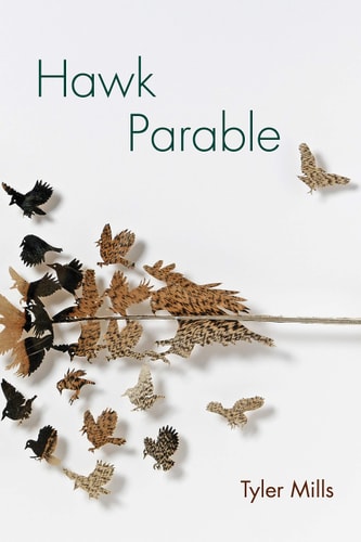 Hawk Parable: Poems (Akron Series in Poetry)