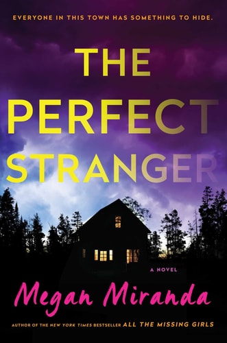 The Perfect Stranger A Novel