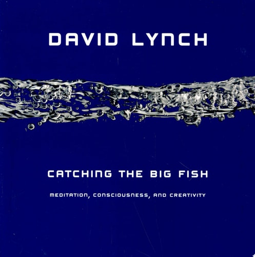 Catching the Big Fish Meditation, Consciousness, and Creativity