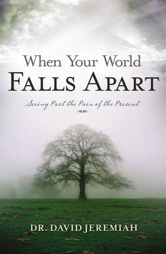 When Your World Falls Apart See Past the Pain of the Present