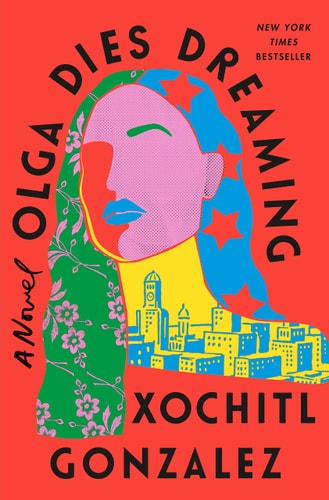 Olga Dies Dreaming A Novel