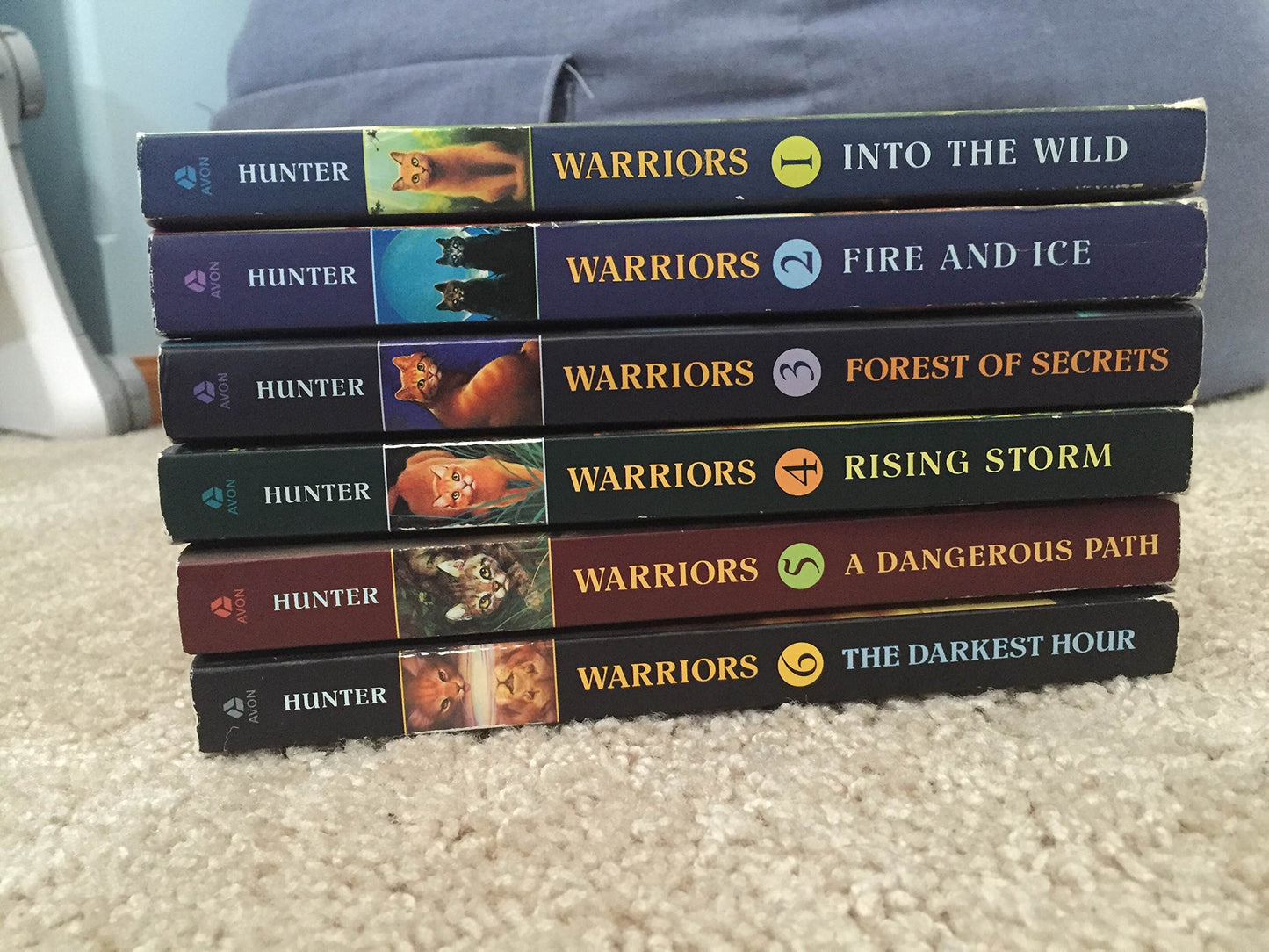 Warrior Cats Series 1: Books 1-6