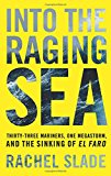 Into the Raging Sea: Thirty-Three Mariners, One Megastorm, and the Sinking of El Faro