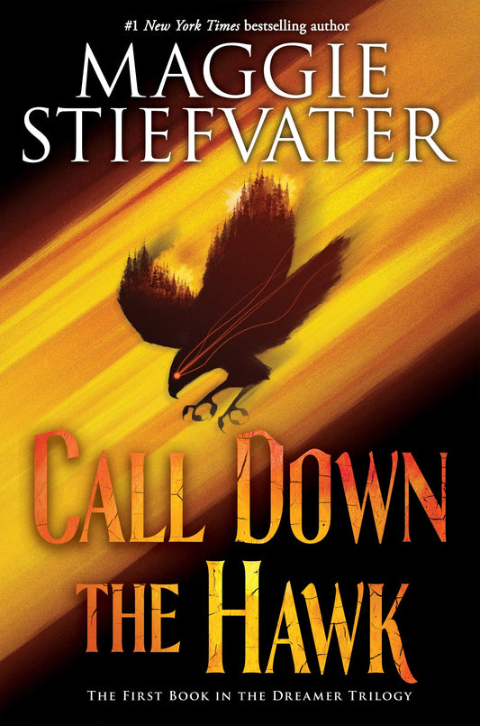 Call Down the Hawk (the Dreamer Trilogy, Book 1): Volume 1 (Dreamer Trilogy)