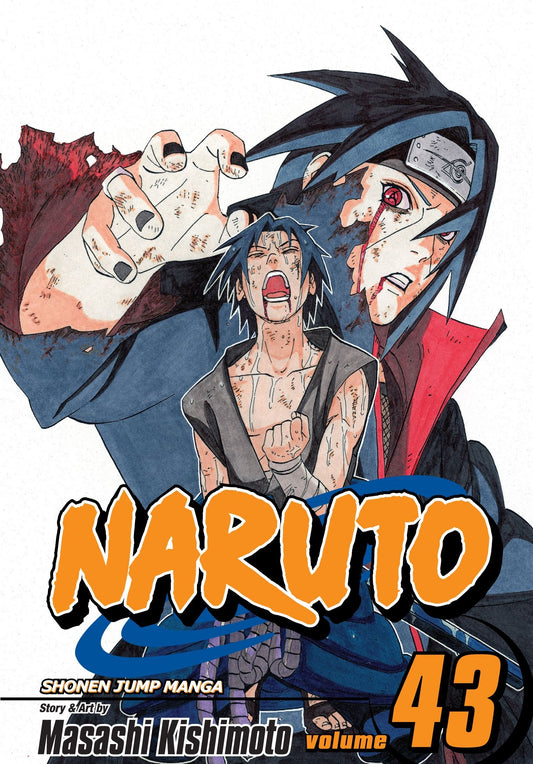 Naruto, Vol. 43: The Man with the Truth