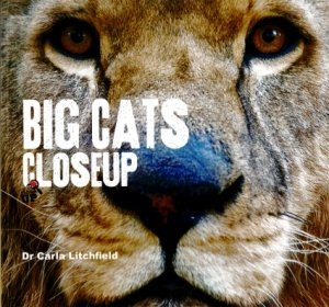 Big Cats Closeup/elephants Closeup