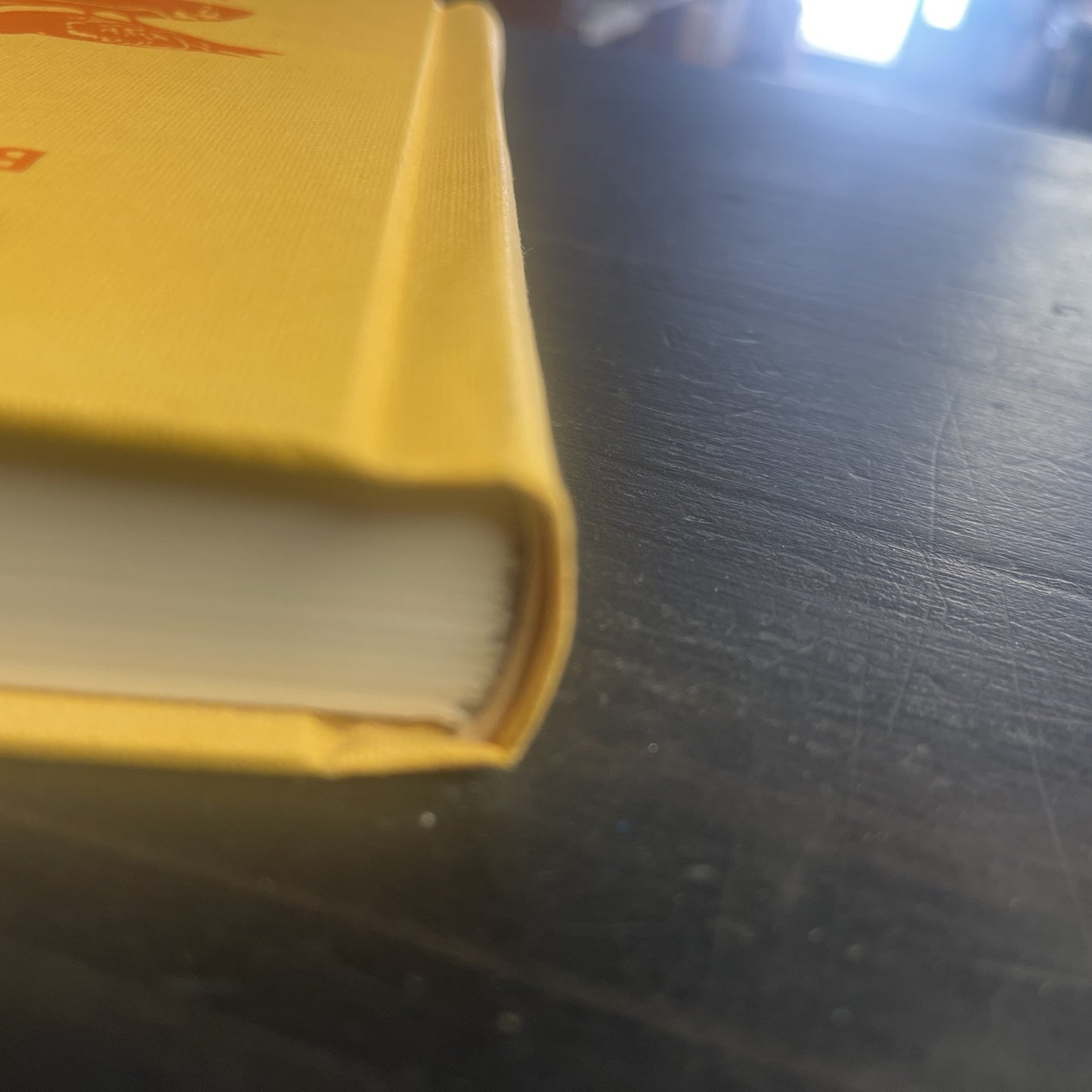 The Humorless Ladies of Border Control : Touring the Punk Undergr