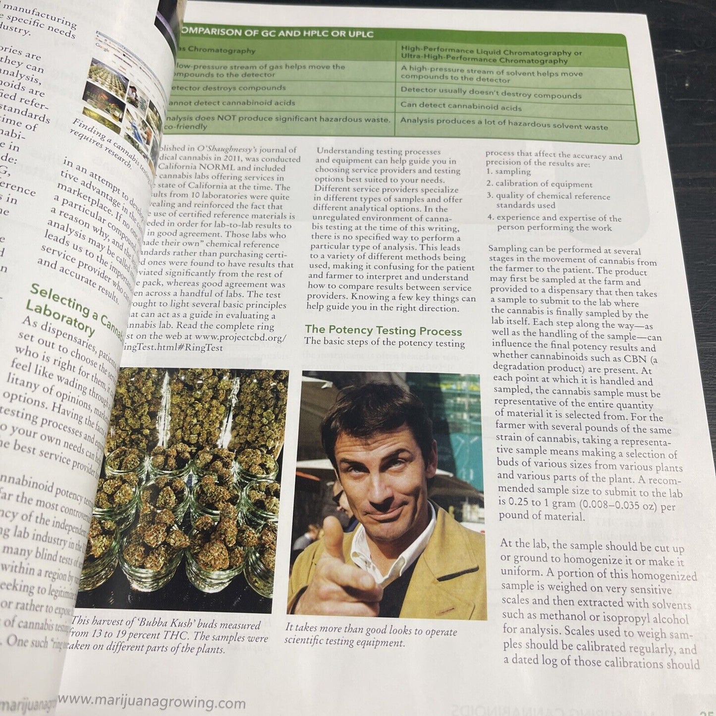 The Cannabis Encyclopedia : The Definitive Guide to Cultivation and...