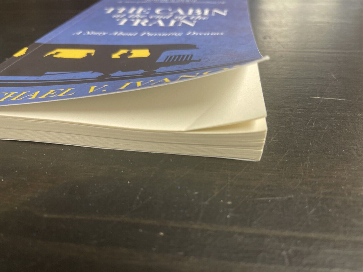 The Cabin at the End of the Train: A Story About Pursuing Dreams by Ivanov: Used