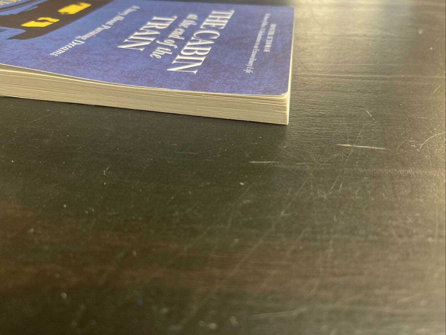 The Cabin at the End of the Train: A Story About Pursuing Dreams by Ivanov: Used