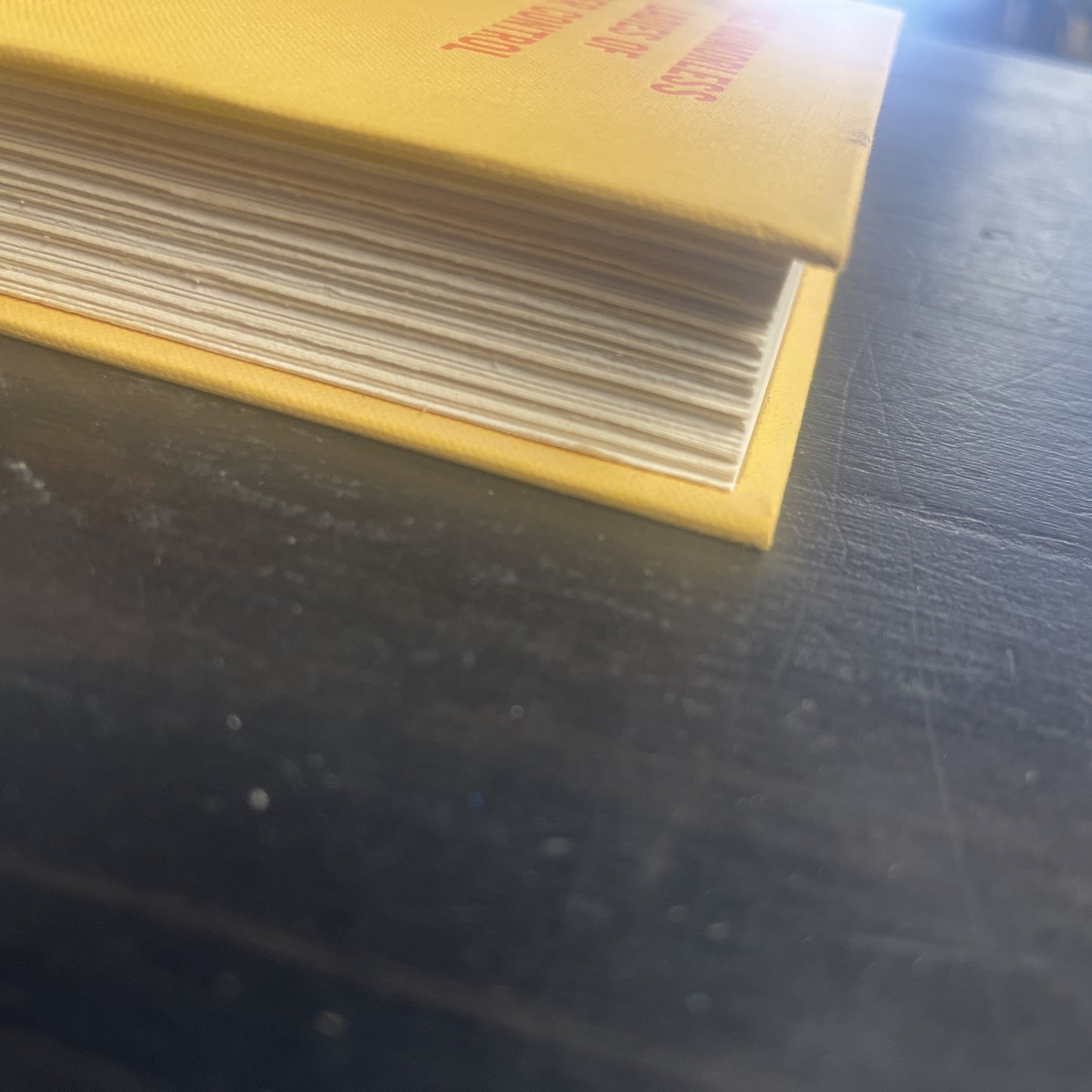 The Humorless Ladies of Border Control : Touring the Punk Undergr