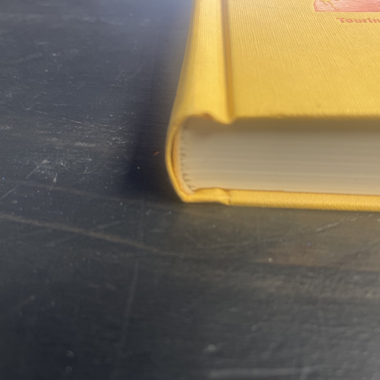 The Humorless Ladies of Border Control : Touring the Punk Undergr