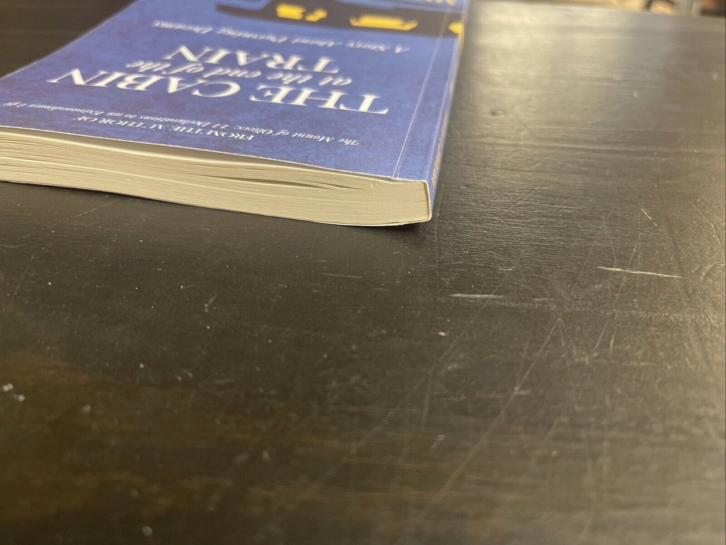 The Cabin at the End of the Train: A Story About Pursuing Dreams by Ivanov: Used