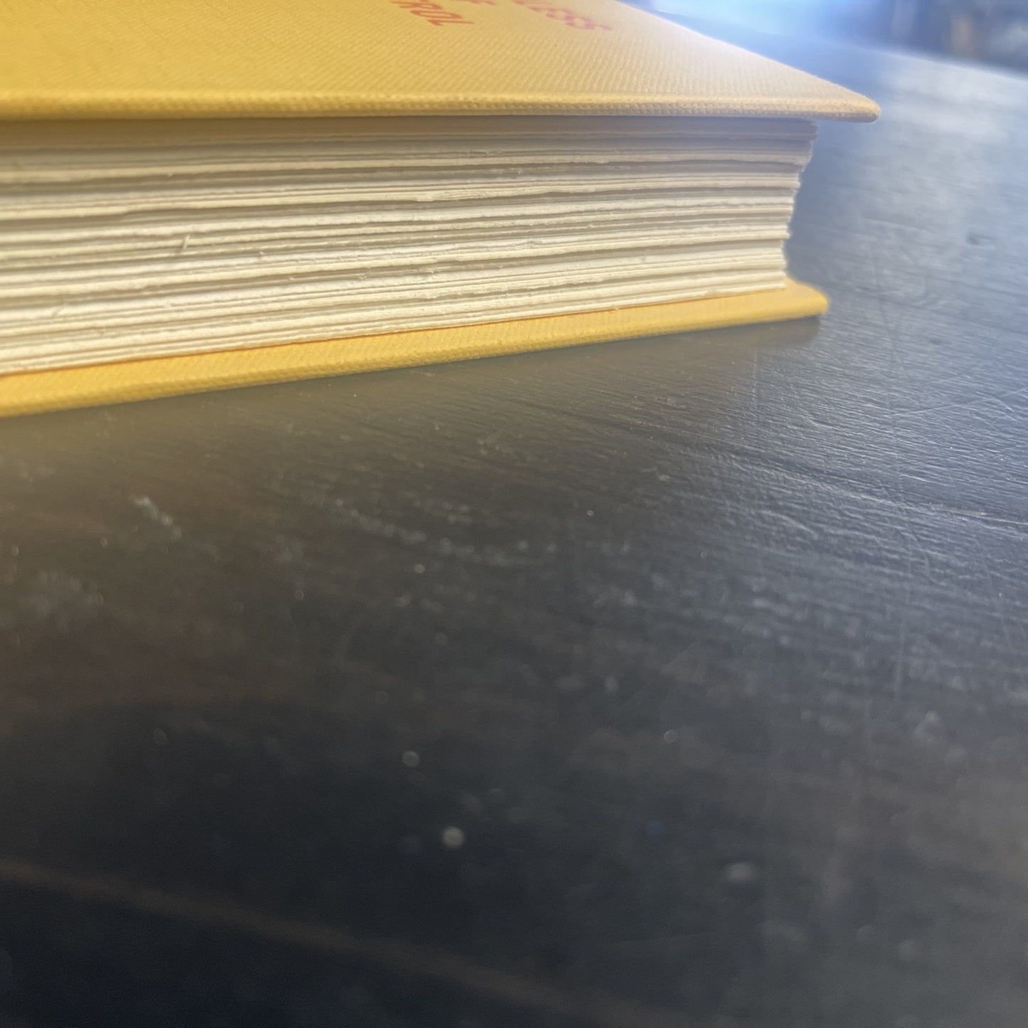 The Humorless Ladies of Border Control : Touring the Punk Undergr