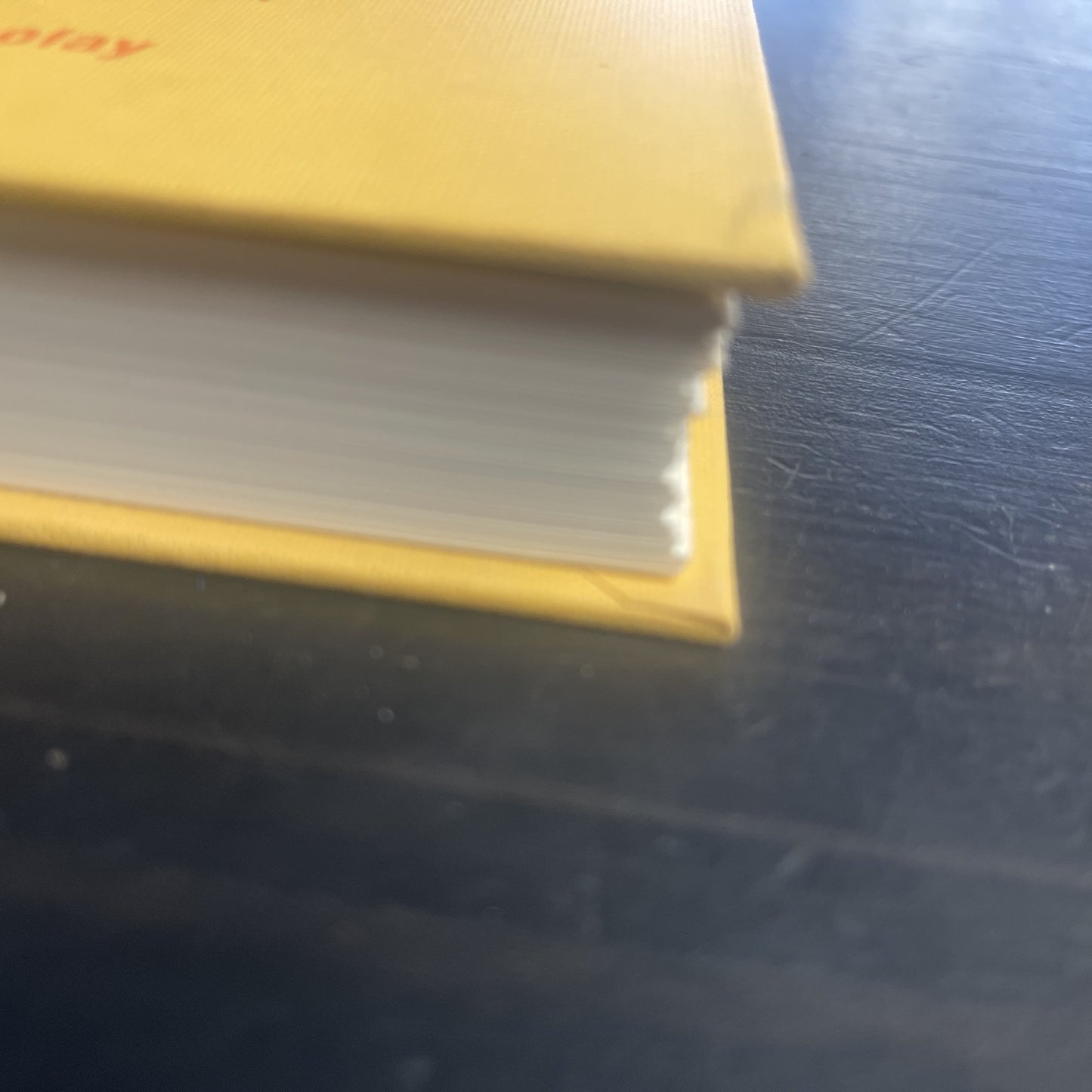 The Humorless Ladies of Border Control : Touring the Punk Undergr